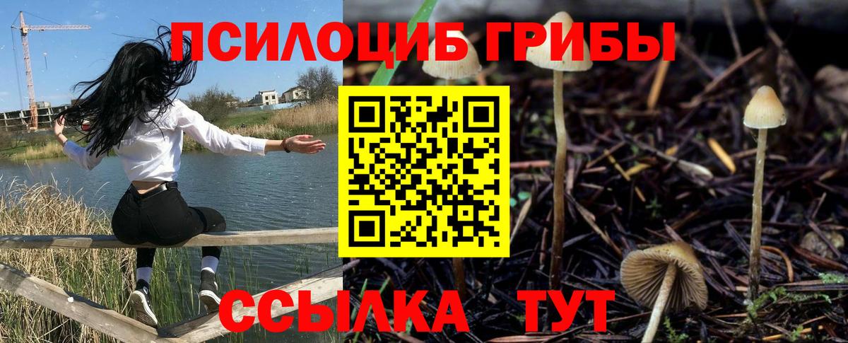 Псилоцибиновые грибы MAGIC MUSHROOMS Менделеевск
